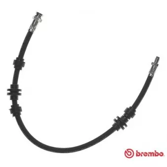 BREMBO T 23 064 - Flexible de frein