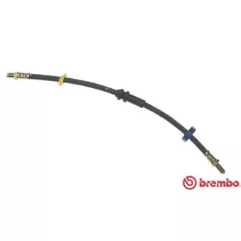 BREMBO T 23 065 - Flexible de frein