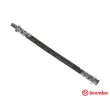 BREMBO T 23 090 - Flexible de frein