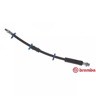 BREMBO T 23 091 - Flexible de frein