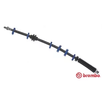 Flexible de frein BREMBO OEM 7735010