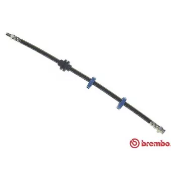 Flexible de frein BREMBO OEM 46454003