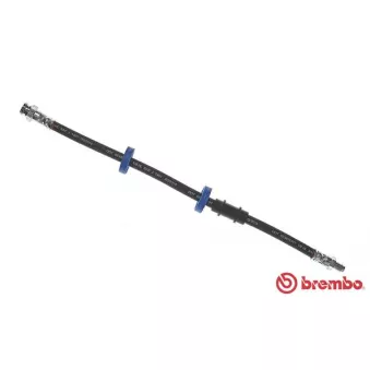 BREMBO T 23 140 - Flexible de frein