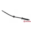 Flexible de frein BREMBO [T 23 141]