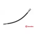 BREMBO T 23 144 - Flexible de frein