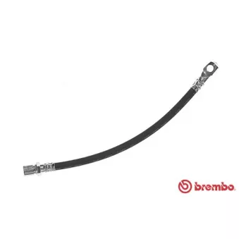 Flexible de frein BREMBO T 23 144