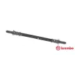 BREMBO T 23 163 - Flexible de frein