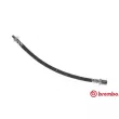 Flexible de frein BREMBO [T 23 166]