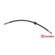 Flexible de frein BREMBO [T 23 172]