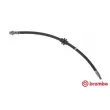 BREMBO T 23 176 - Flexible de frein