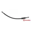 BREMBO T 23 195 - Flexible de frein