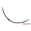 BREMBO T 23 199 - Flexible de frein