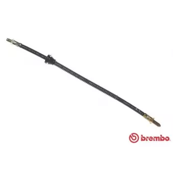 Flexible de frein BREMBO OEM 6191842