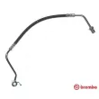 BREMBO T 24 013 - Flexible de frein