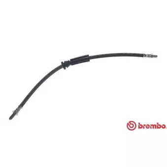 Flexible de frein BREMBO OEM 1666294