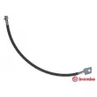 BREMBO T 24 024 - Flexible de frein