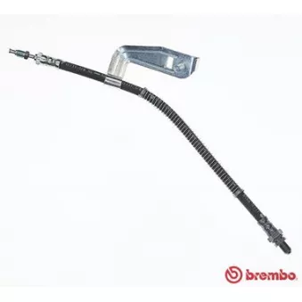 BREMBO T 24 025 - Flexible de frein