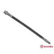 BREMBO T 24 037 - Flexible de frein