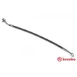 BREMBO T 24 043 - Flexible de frein