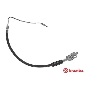 Flexible de frein BREMBO OEM 92AB2282AC