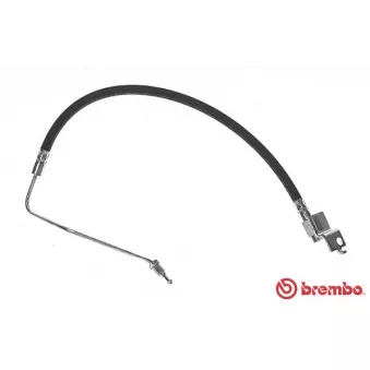 BREMBO T 24 071 - Flexible de frein