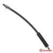 BREMBO T 24 072 - Flexible de frein