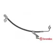 BREMBO T 24 076 - Flexible de frein