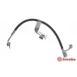 BREMBO T 24 080 - Flexible de frein