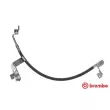 BREMBO T 24 081 - Flexible de frein