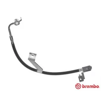 BREMBO T 24 082 - Flexible de frein