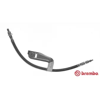 Flexible de frein BREMBO T 24 095 pour FORD FIESTA 1.6 16V Sport - 103cv