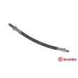 Flexible de frein BREMBO [T 24 101]
