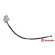 BREMBO T 24 121 - Flexible de frein