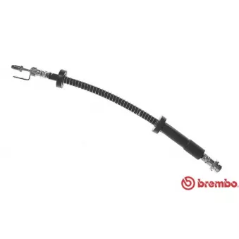 BREMBO T 24 134 - Flexible de frein