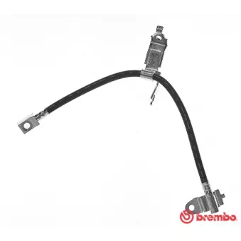 Flexible de frein BREMBO T 24 136 pour FORD TRANSIT 2.3 16V - 146cv