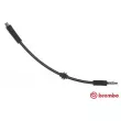 BREMBO T 24 145 - Flexible de frein