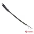 Flexible de frein BREMBO [T 24 146]