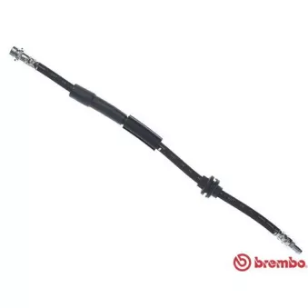 Flexible de frein BREMBO T 24 150 pour FORD FIESTA 1.6 TDCi - 75cv