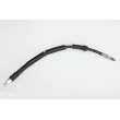 BREMBO T 24 161 - Flexible de frein