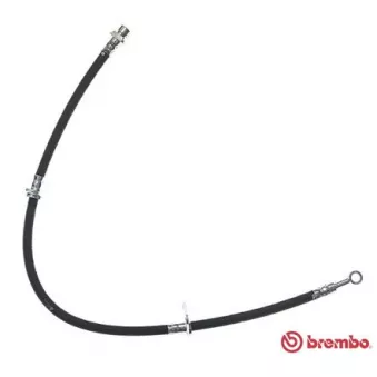Flexible de frein BREMBO OEM 46410SM4013
