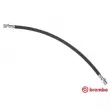 BREMBO T 28 015 - Flexible de frein