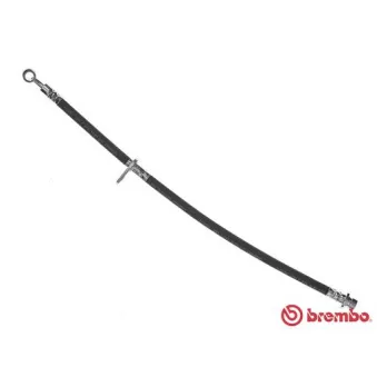 Flexible de frein BREMBO OEM 01466SEAE00