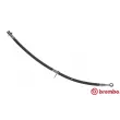 BREMBO T 28 092 - Flexible de frein