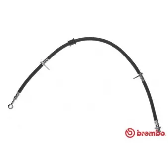 Flexible de frein BREMBO OEM 01465SV4000