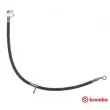 BREMBO T 28 105 - Flexible de frein