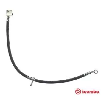 Flexible de frein BREMBO OEM 01464SMGE00