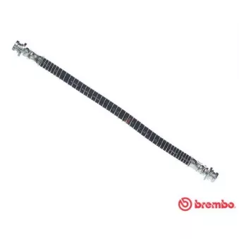 BREMBO T 30 004 - Flexible de frein