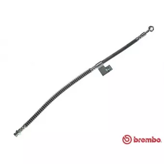 BREMBO T 30 016 - Flexible de frein
