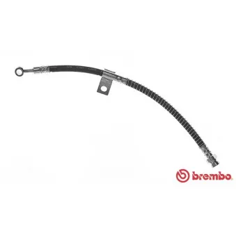 BREMBO T 30 017 - Flexible de frein