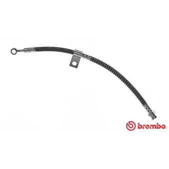 Flexible de frein BREMBO OEM 5873102011